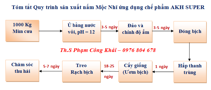 Mộc Nhĩ Đặc Điểm Tác Dụng Cách Dùng Lưu ý #35 Mộc Nhĩ Đặc Điểm Tác Dụng Cách Dùng Lưu ý